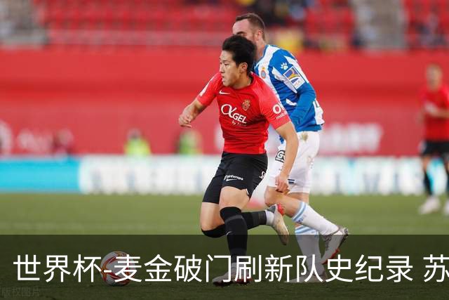 世界杯-麦金破门刷新队史纪录 苏格兰1-0海地领跑积分榜